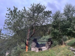 MEHR LESEN